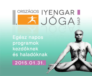 II. Iyengar Jóga Nap 2015